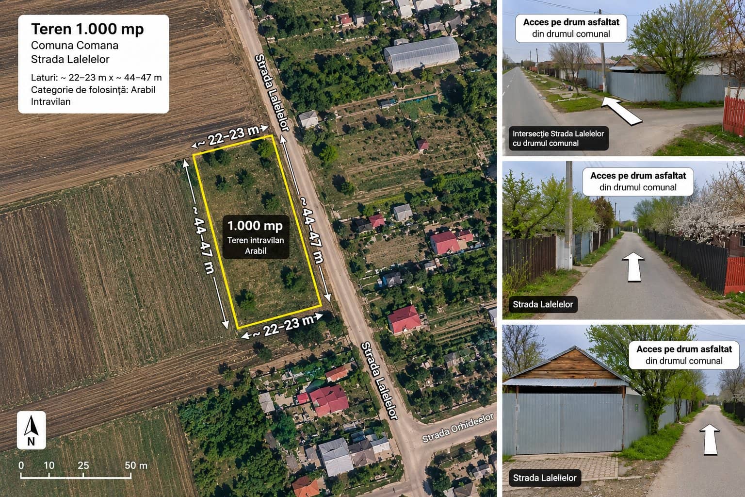 Lot de casa 1000 mp Grădiștea Comana — fotografia 1 din 11