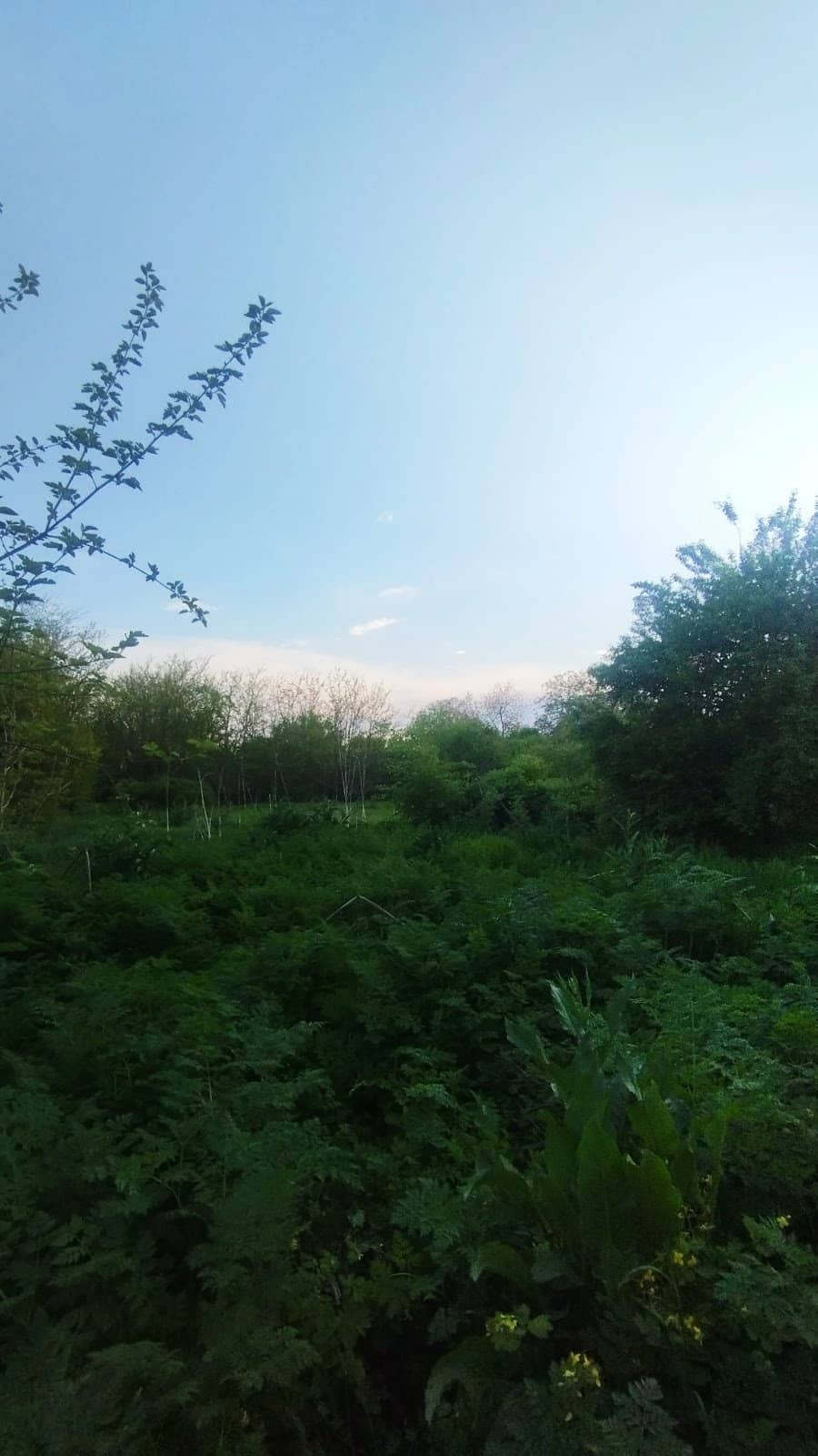 Teren intravilan 6300 mp cu deschidere la lac Tunari — fotografia 6 din 9