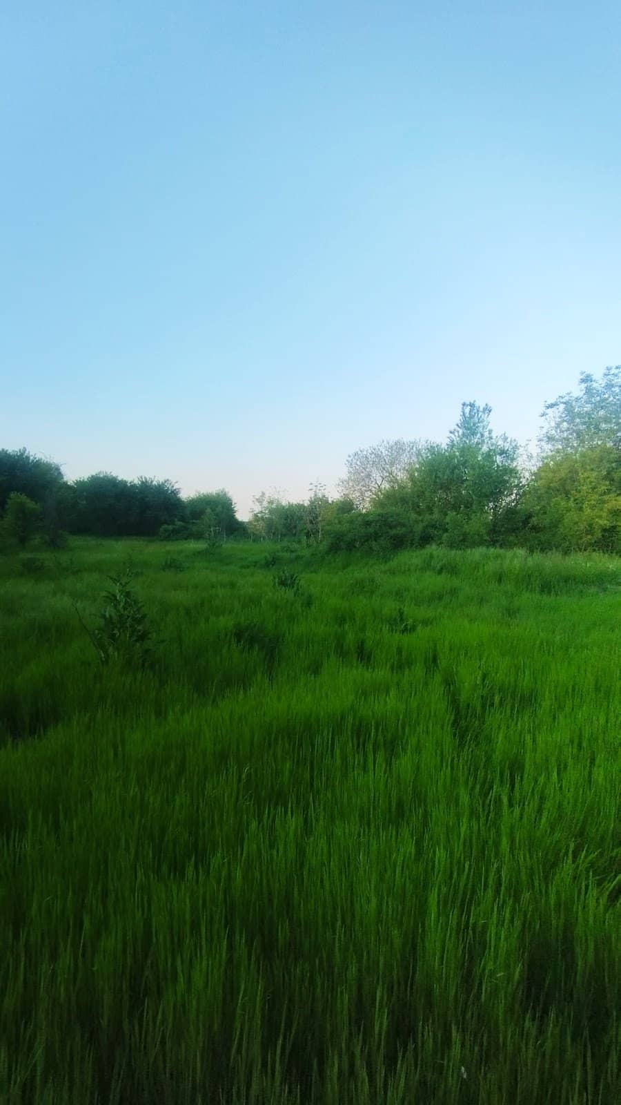 Teren intravilan 6300 mp cu deschidere la lac Tunari — fotografia 4 din 9