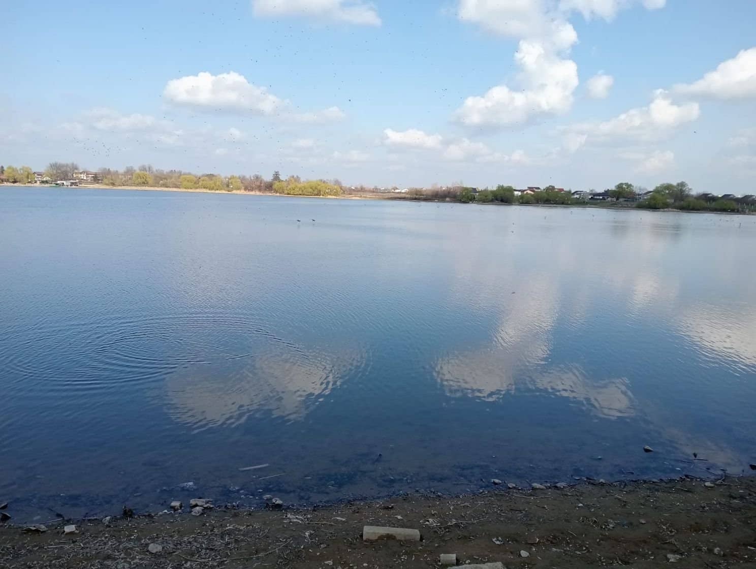 SUPER OCAZIE VIND TEREN CU DESCHIDRE LA LAC IN BUFTEA — fotografia 1 din 23