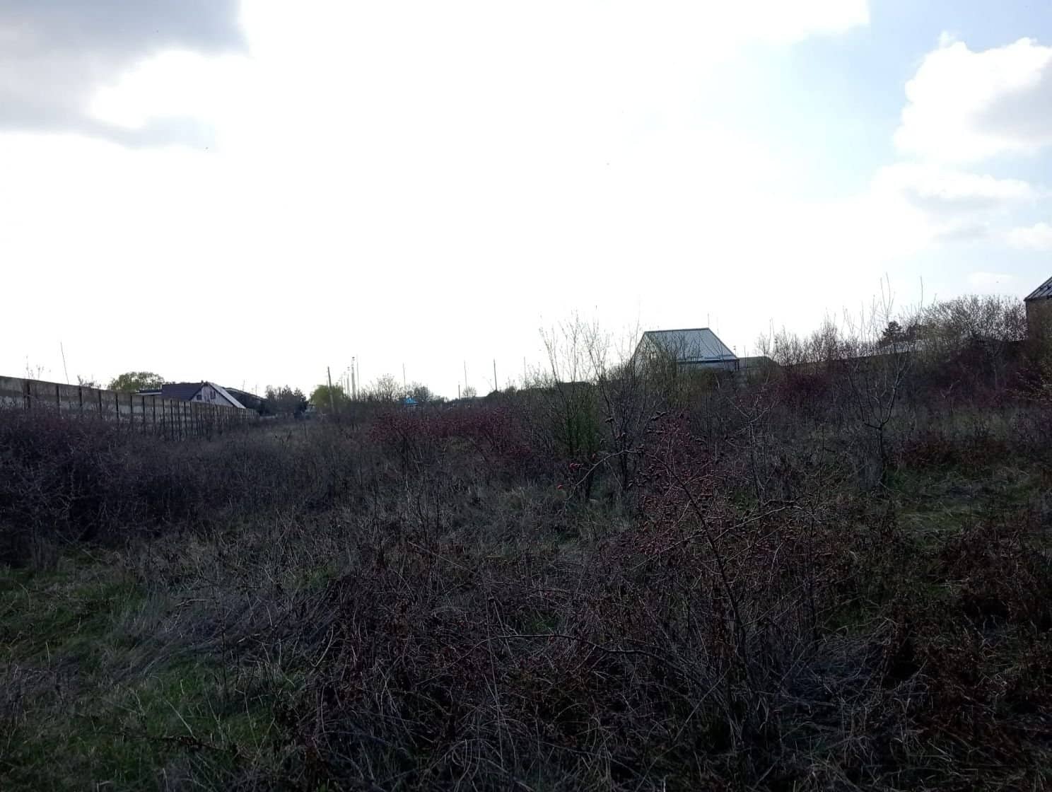 SUPER OCAZIE VIND TEREN CU DESCHIDRE LA LAC IN BUFTEA — fotografia 15 din 23