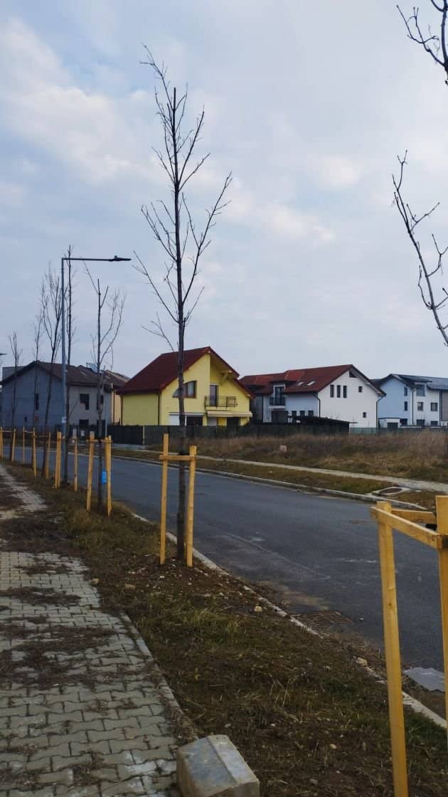 VAND TEREN INTRAVILAN 16.474 MP IN ZONA BANEASA PENTRU AFACERI/INVESTITII — fotografia 2 din 7