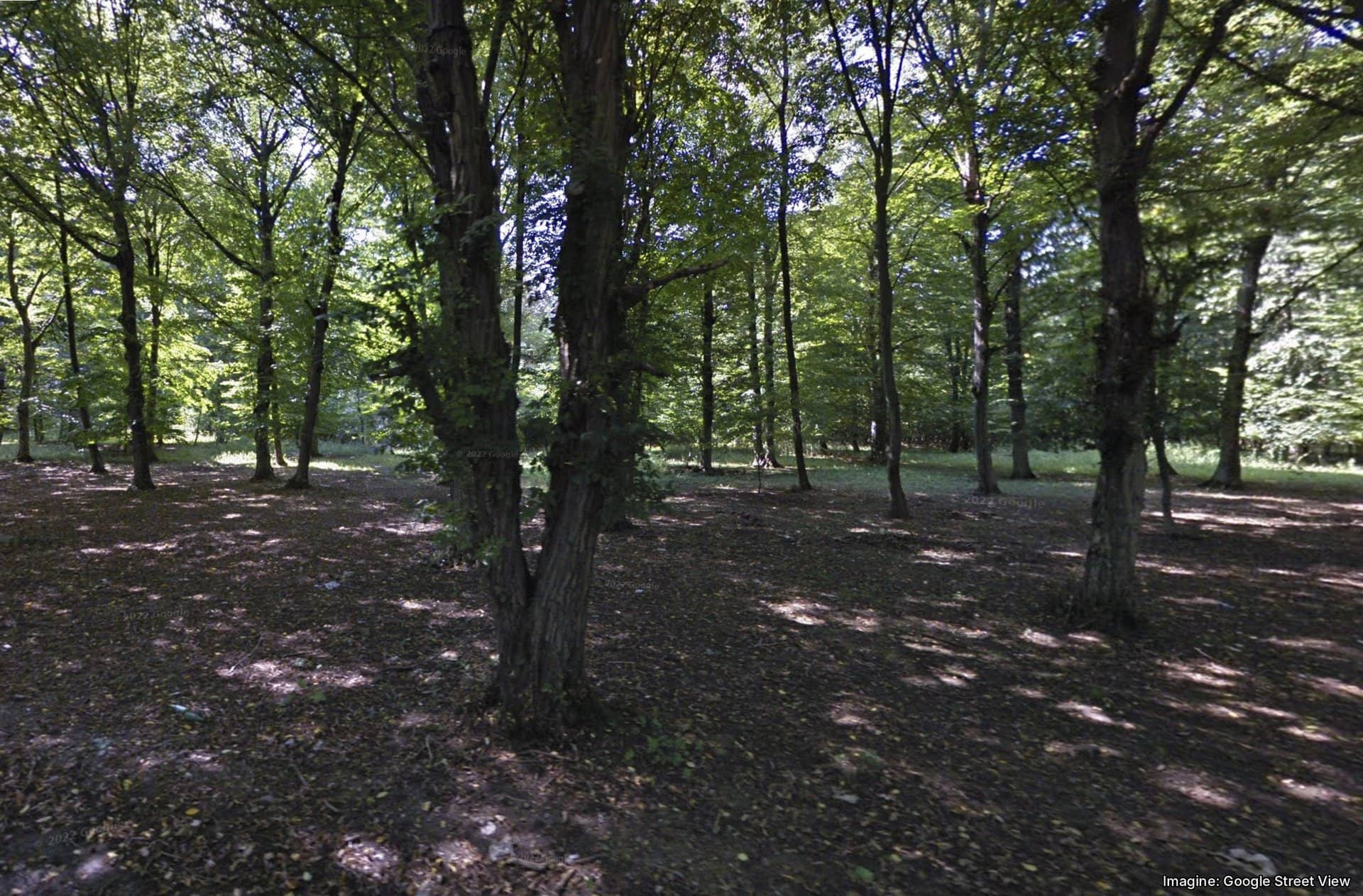 Teren de 500 mp, la marginea Pădurii Snagov — fotografia 4 din 5