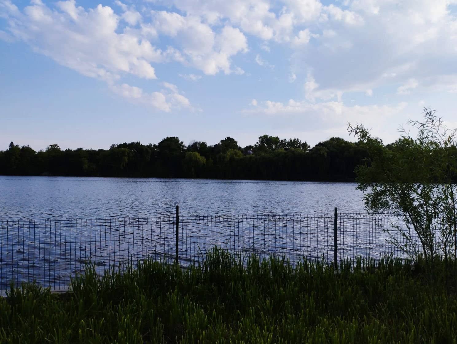 SUPER OCAZIE SE VINDE VILA DE LUX SI CASA DE OASPESTI IN BALOTESTI LA LAC 554000Euro — fotografia 47 din 59