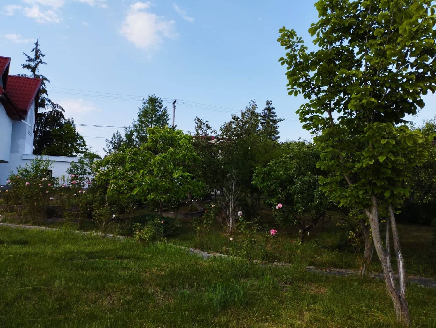 SUPER OCAZIE SE VINDE VILA DE LUX SI CASA DE OASPESTI IN BALOTESTI LA LAC 554000Euro — fotografia 51 din 59
