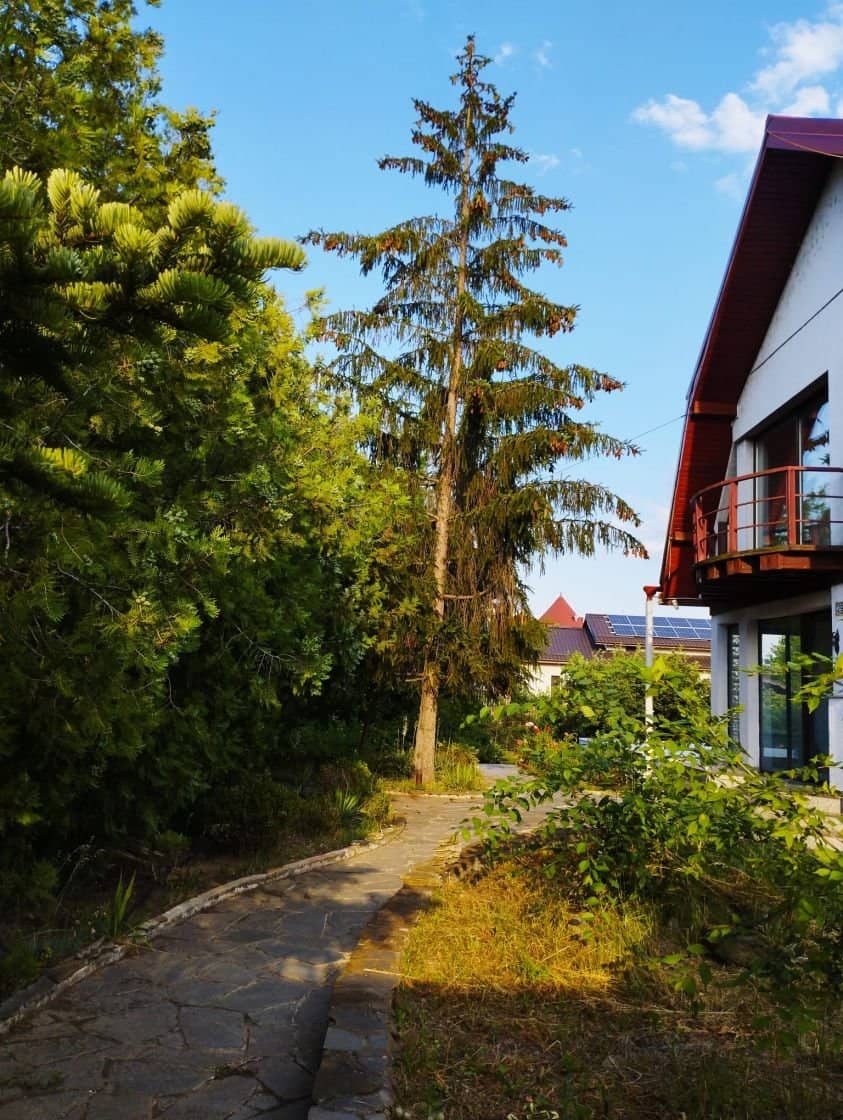 SUPER OCAZIE SE VINDE VILA DE LUX SI CASA DE OASPESTI IN BALOTESTI LA LAC 554000Euro — fotografia 58 din 59