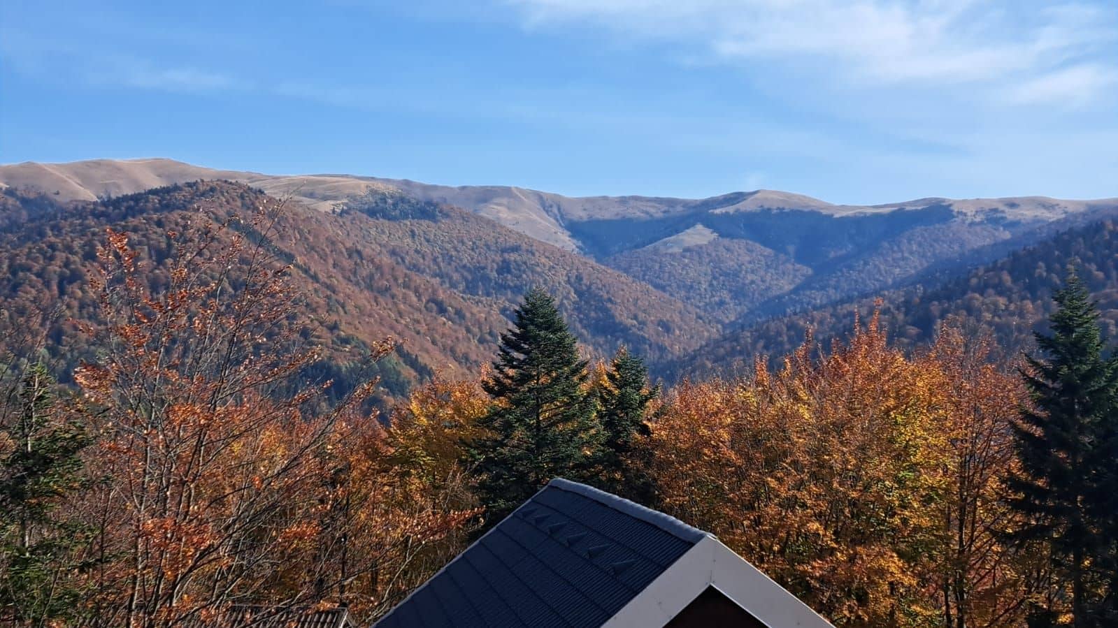 VAND PENTHOUSE 280 MP IN VILA + GARAJ LUX IN SINAIA PH COTA 1400 — fotografia 19 din 19