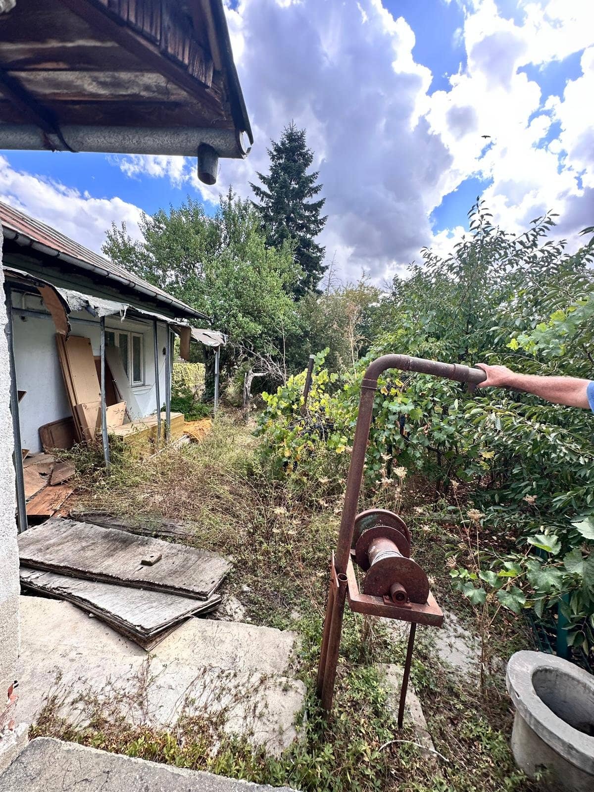 Teren intravilan Cornetu, 2020 mp, la preț atractiv — fotografia 6 din 8