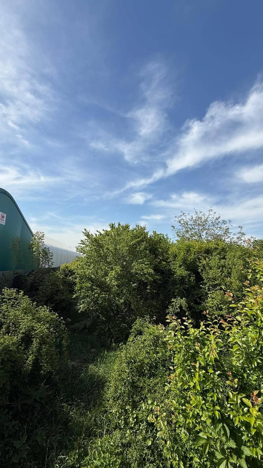 MEGAOCAZIE Teren intravilan mixt Buftea – Corbeanca | 2527 mp | Ideal investiție — fotografia 15 din 17