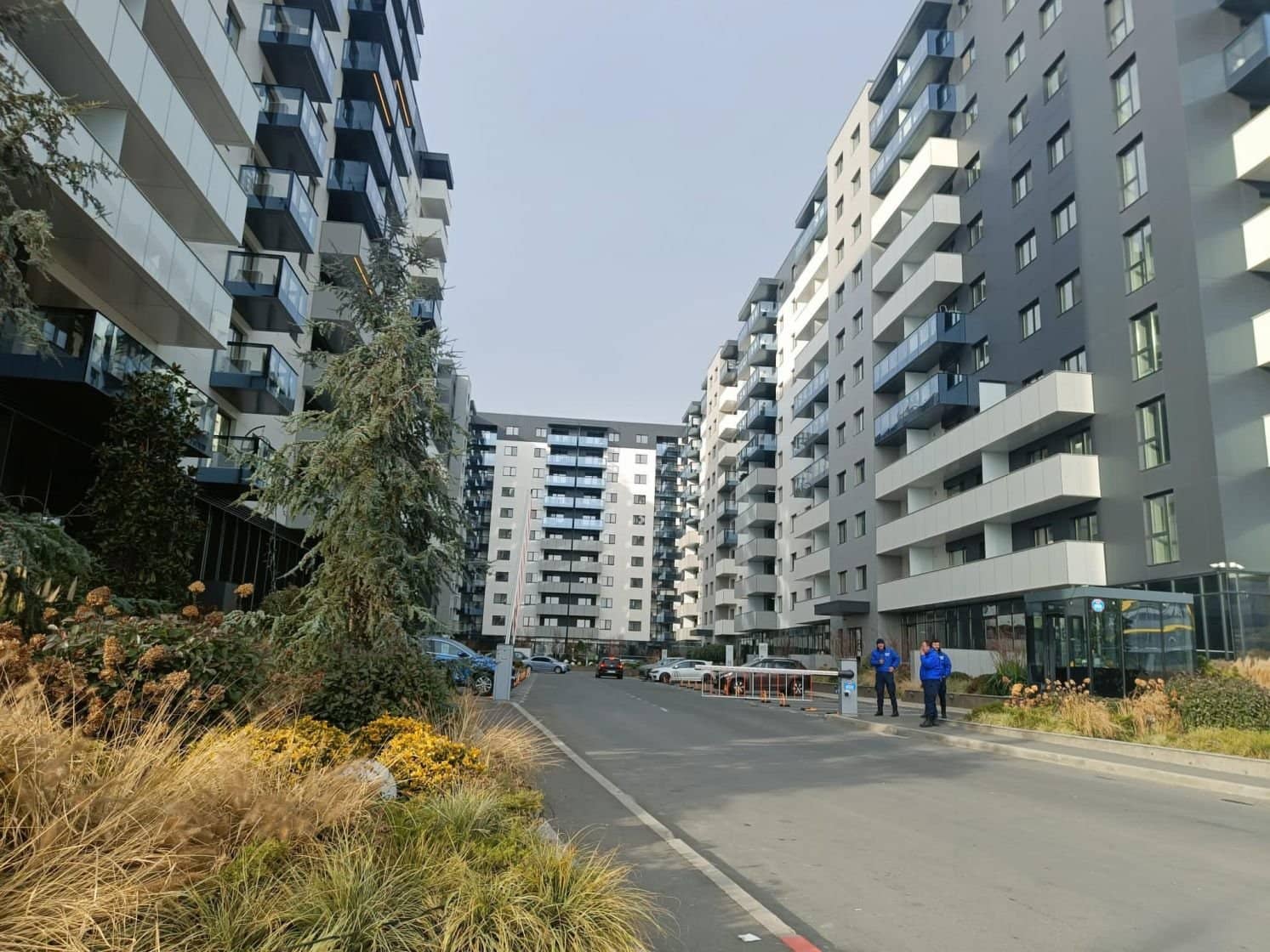 Cortina north- Pipera — fotografia 9 din 9