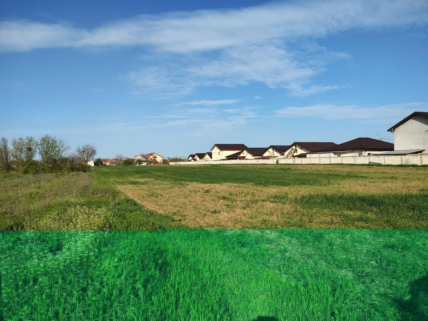 Teren investitie Cernica, Posta — fotografia 1 din 6