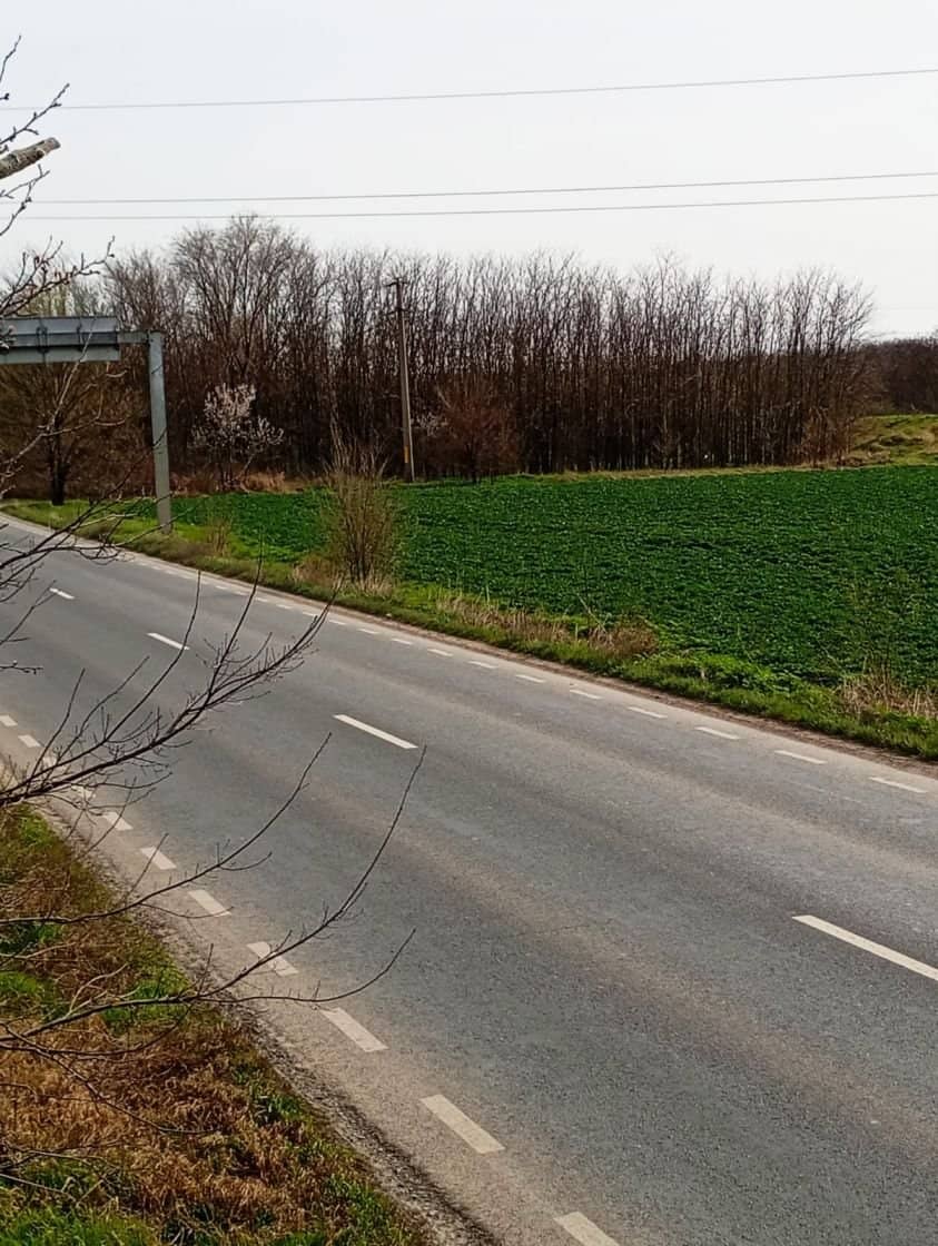 Teren intravilan 5.000 m² cu 40 m deschidere la DN2A – lângă Kaufland Slobozia — fotografia 10 din 17
