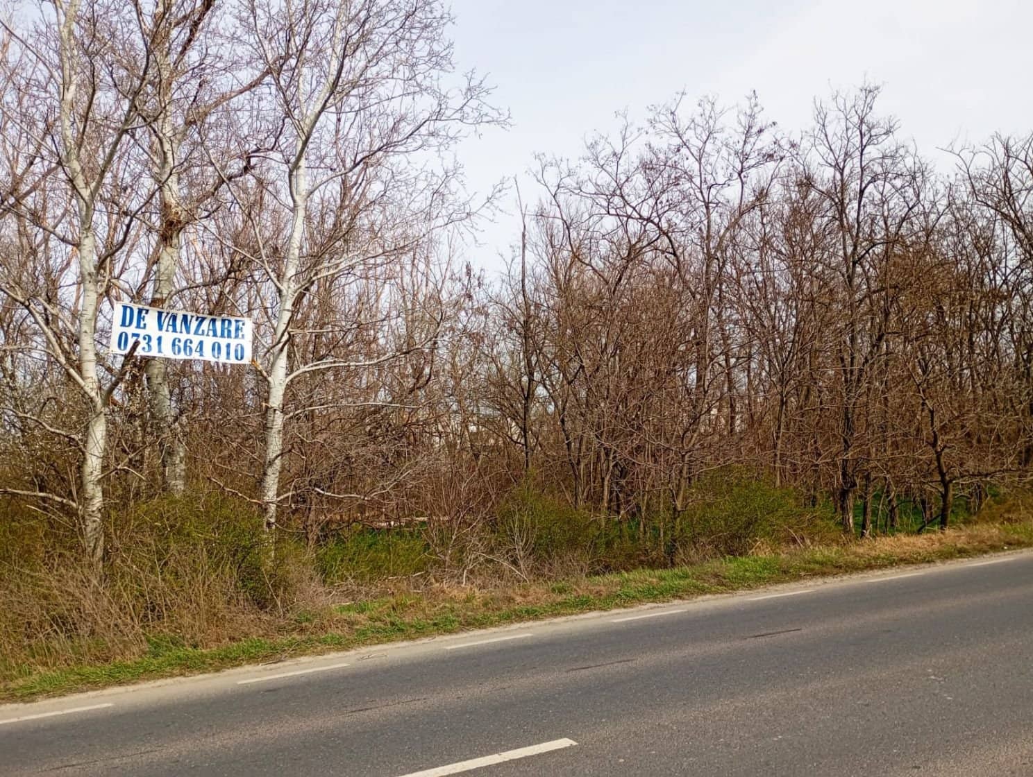 Teren intravilan 5.000 m² cu 40 m deschidere la DN2A – lângă Kaufland Slobozia — fotografia 12 din 17