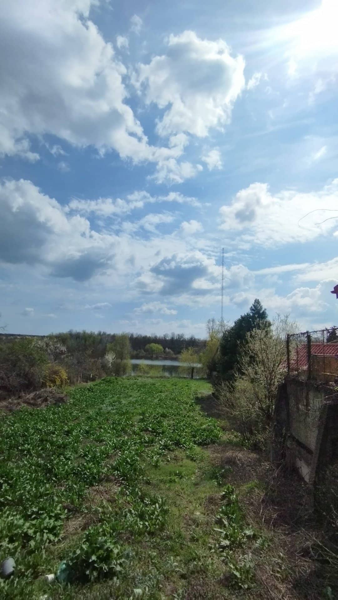 Teren intravilan de vânzare – Snagov, Strada Baicoianu | Deschidere la lac | — fotografia 4 din 4