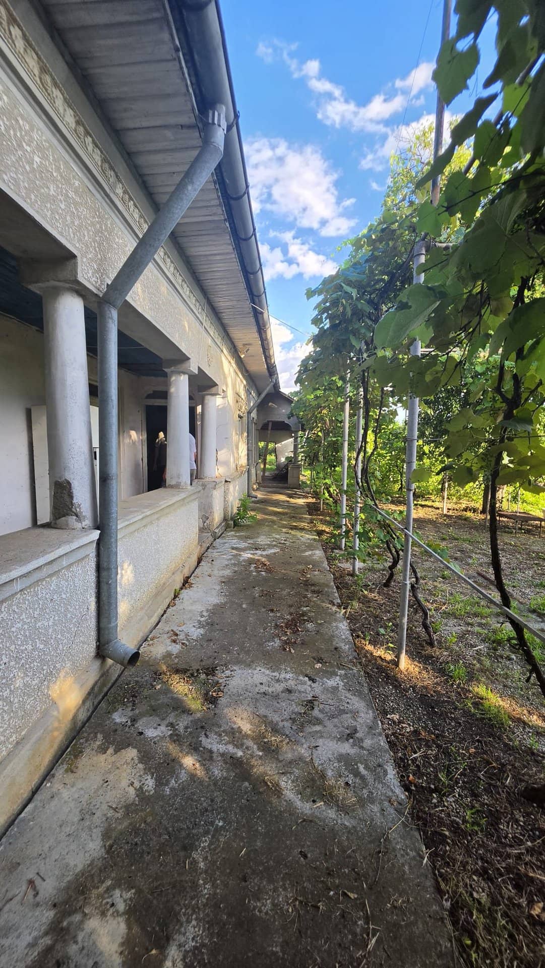 Casă cu potențial, 4 camere, lângă pădure-Jud Giurgiu-Mihai Bravu. — fotografia 3 din 9