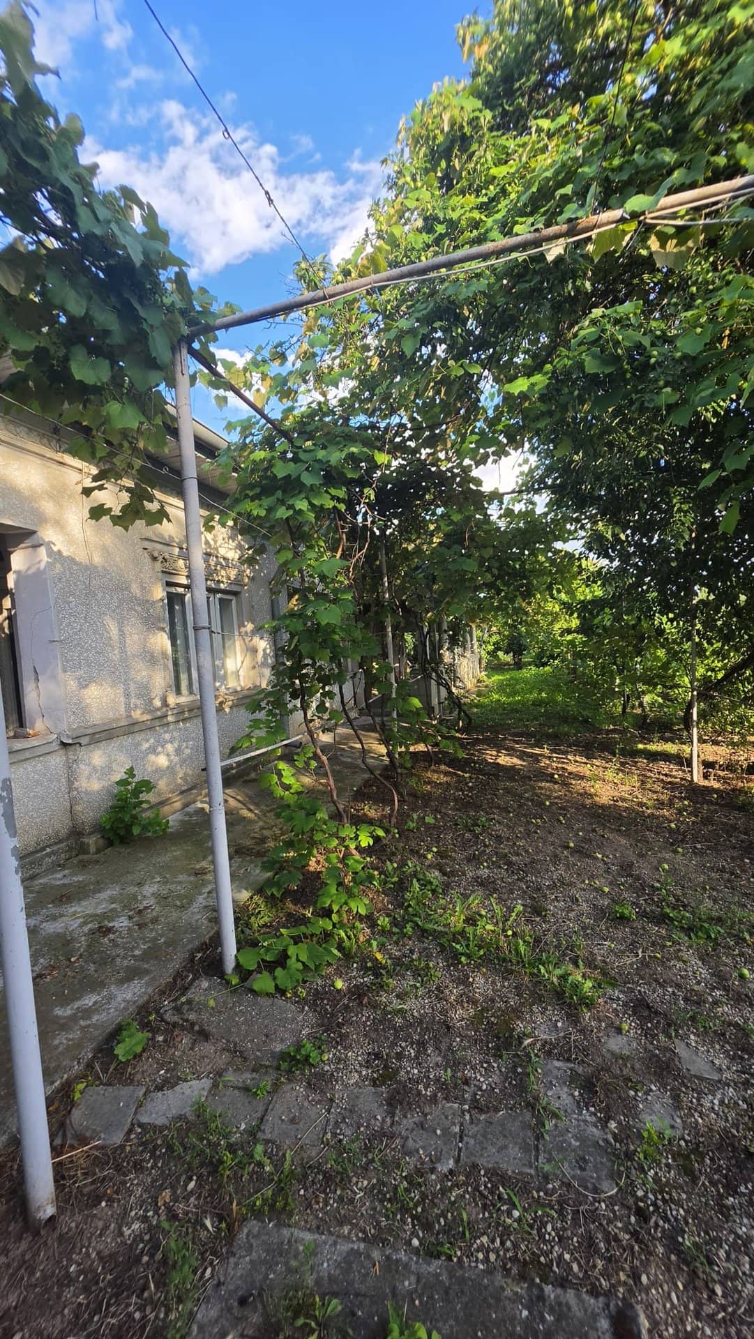 Casă cu potențial, 4 camere, lângă pădure-Jud Giurgiu-Mihai Bravu. — fotografia 4 din 9