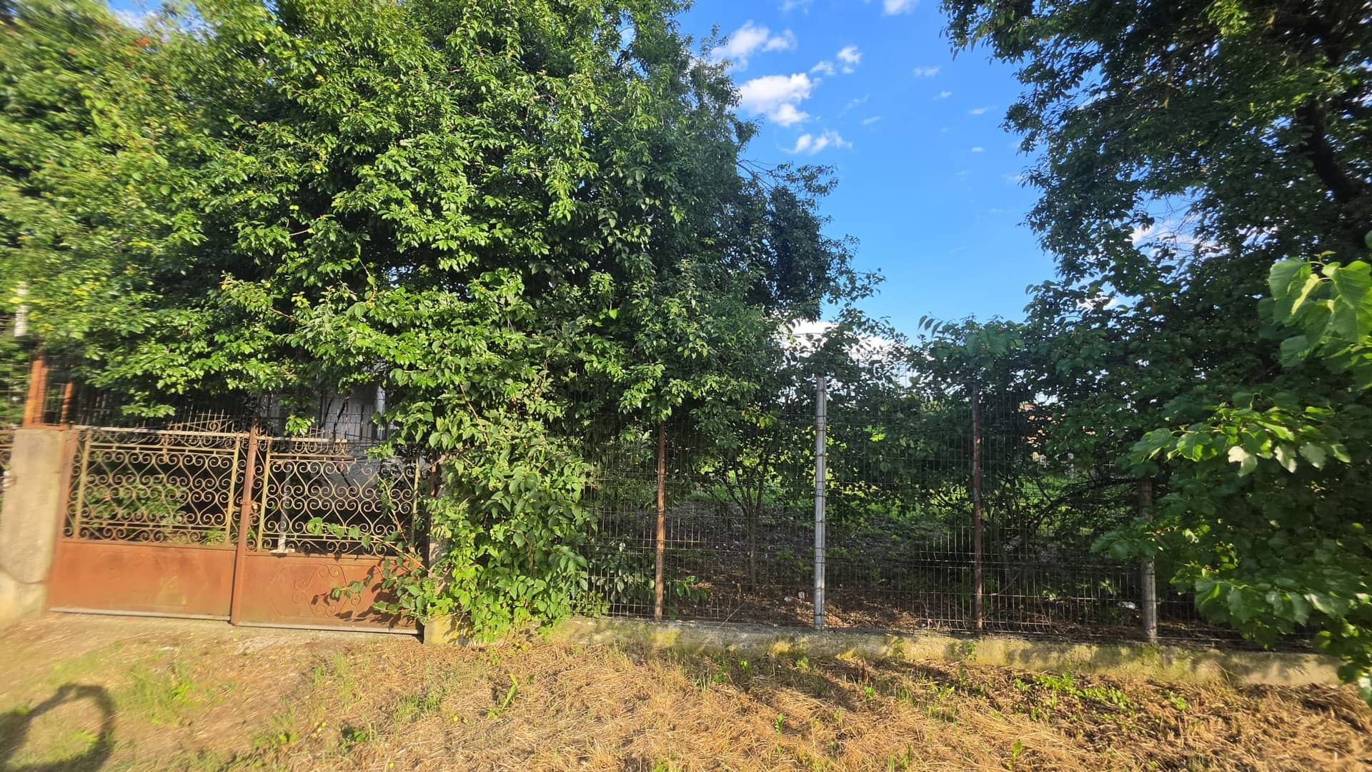 Casă cu potențial, 4 camere, lângă pădure-Jud Giurgiu-Mihai Bravu. — fotografia 7 din 9