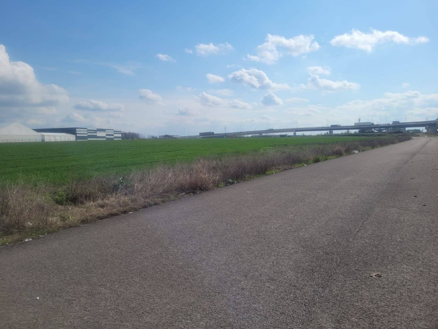 Teren 33.637 mp cu deschidere 88 m la Centura, zonă mixtă – Popești-Leordeni — fotografia 2 din 6