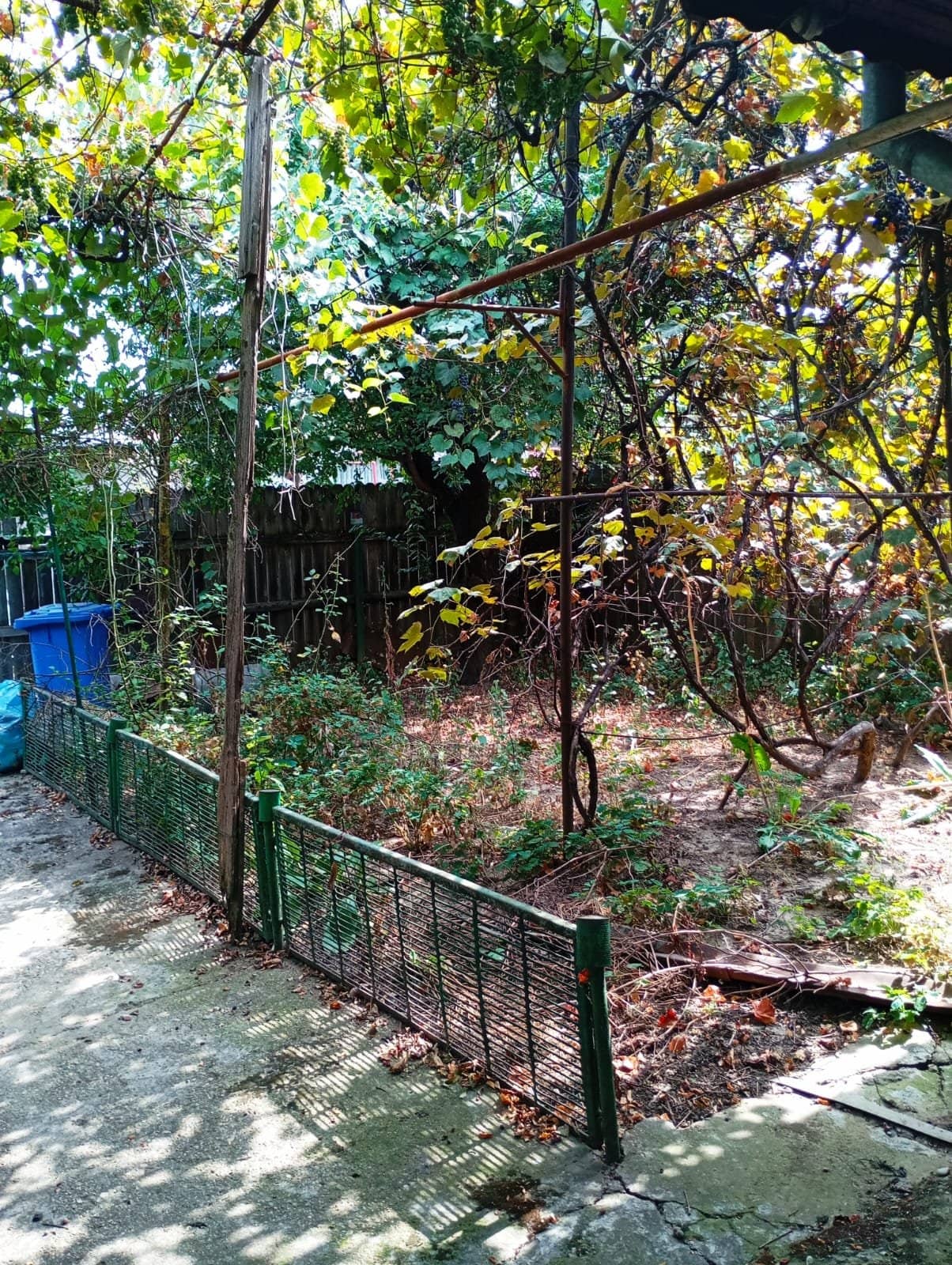 Casă cu teren generos lângă Șoseaua Colentina — fotografia 5 din 9