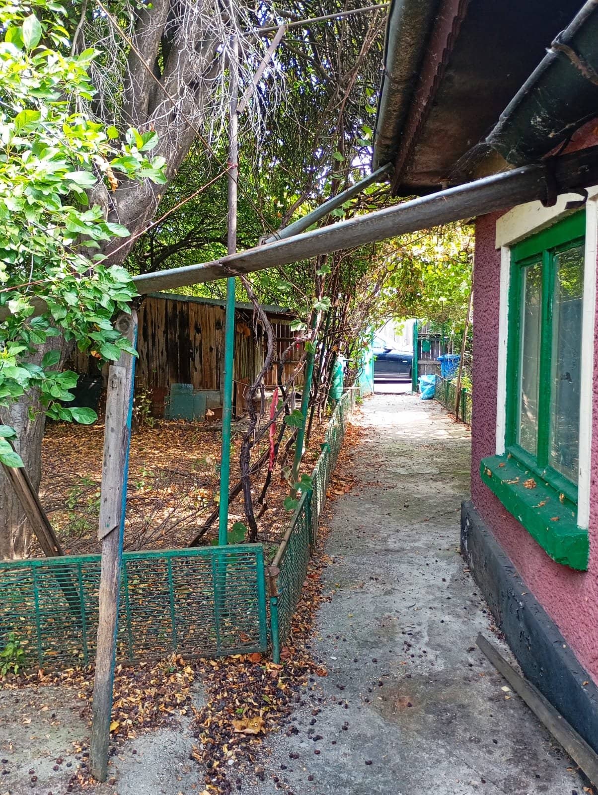Casă cu teren generos lângă Șoseaua Colentina — fotografia 7 din 9