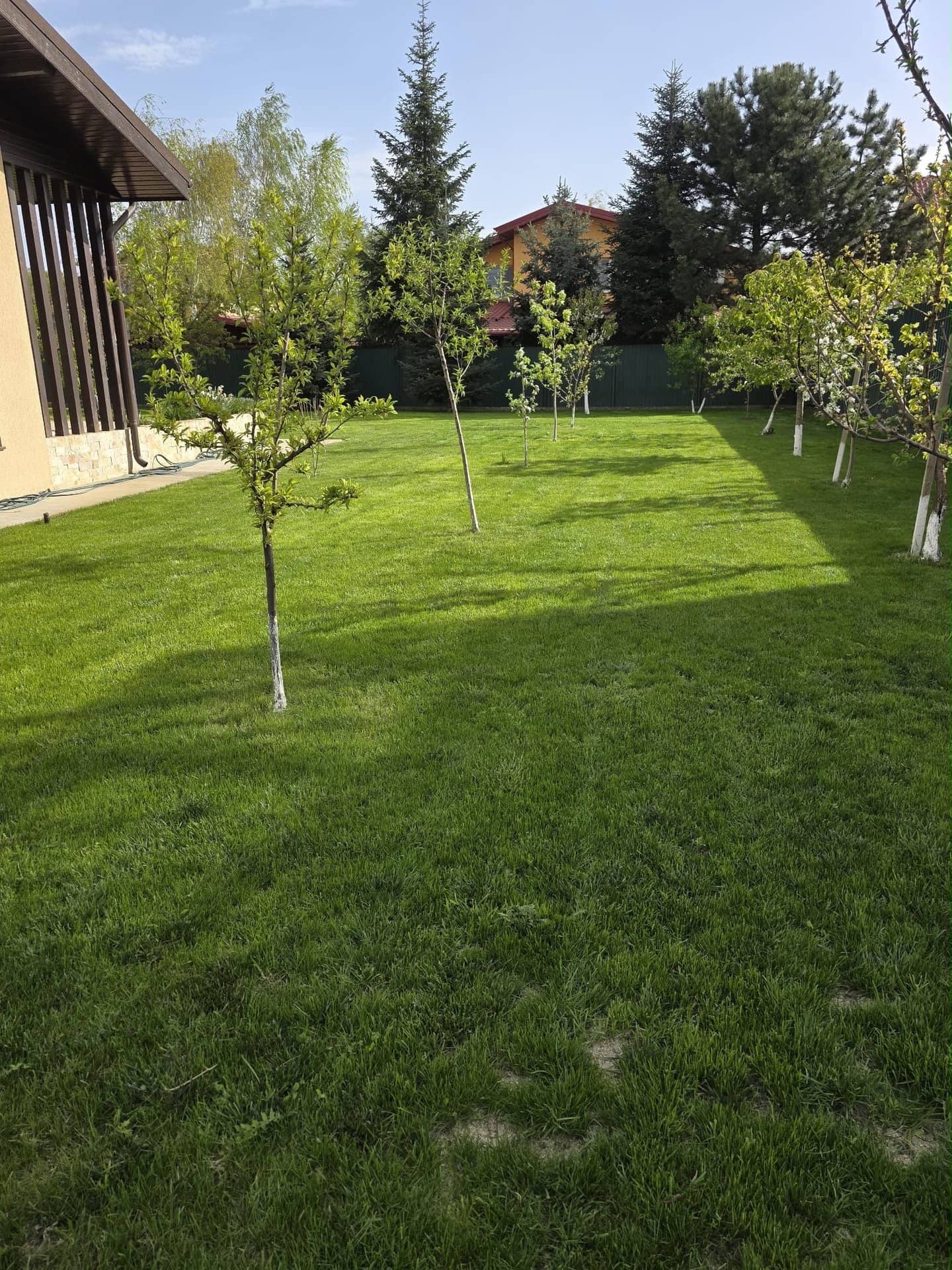 MOGOȘOAIA – VILĂ CU 4 CAMERE, TEREN 971 MP, CURTE ȘI GRĂDINĂ! — fotografia 18 din 24