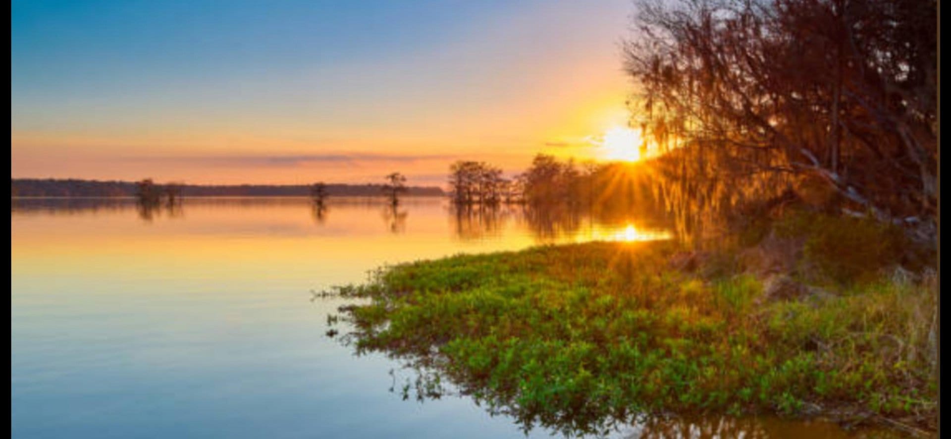 SISESTI teren. 5000mp iesire la LAC — fotografia 1 din 2