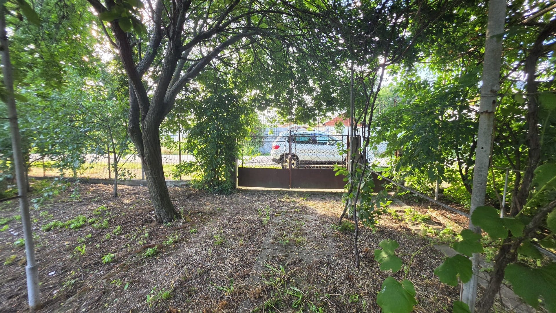 Casă cu potențial, 4 camere, lângă pădure-Jud Giurgiu-Mihai Bravu. — fotografia 1 din 9