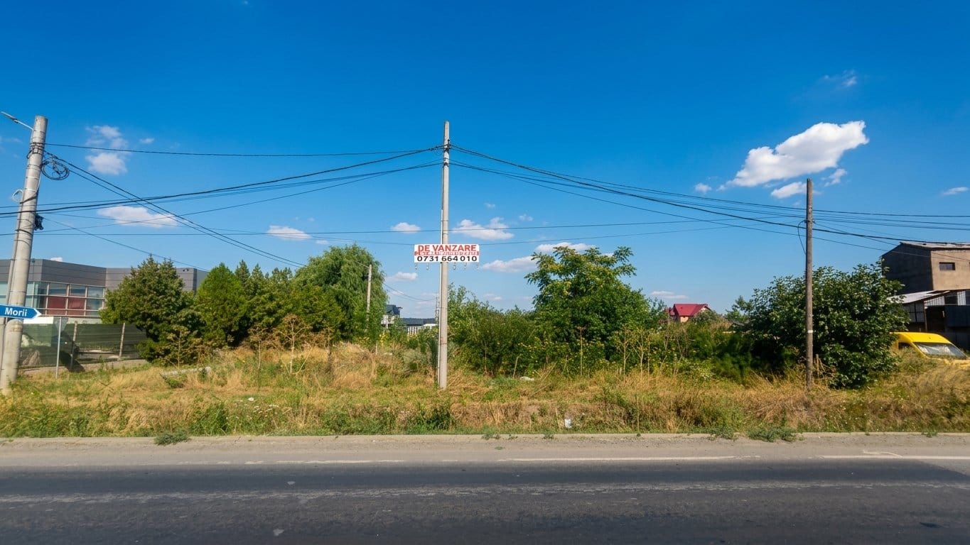 Teren intravilan de 5000 mp cu deschidere la Soseaua Giurgiului - 1 Decembrie — fotografia 1 din 5