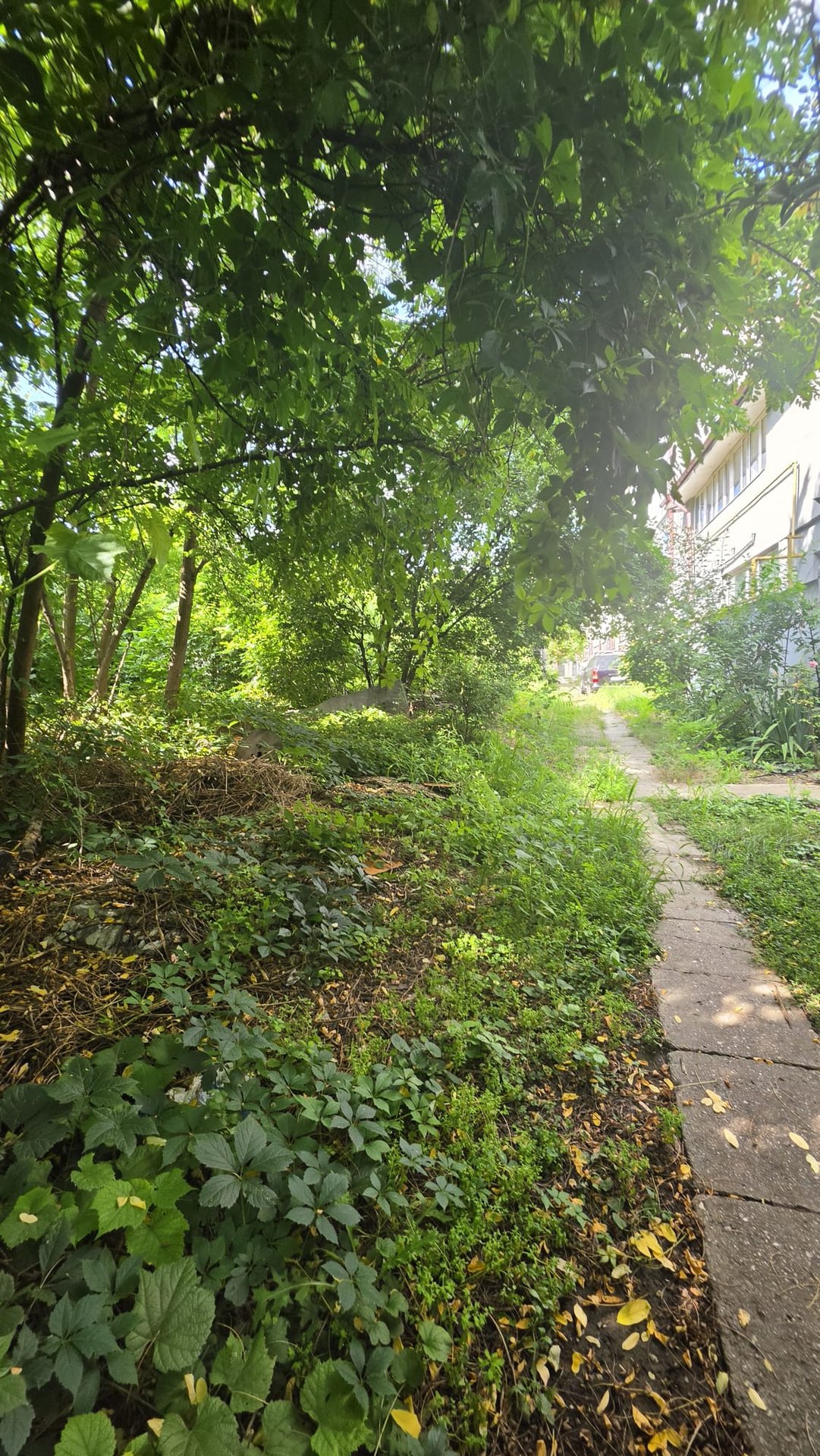 Teren intravilan 250 mp în Băneasa, lățime 21m