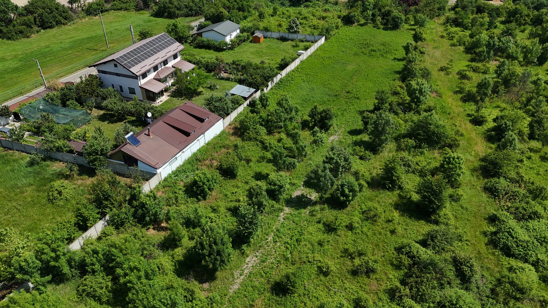 BALOTESTI – SAFTICA, LOT 460 MP!