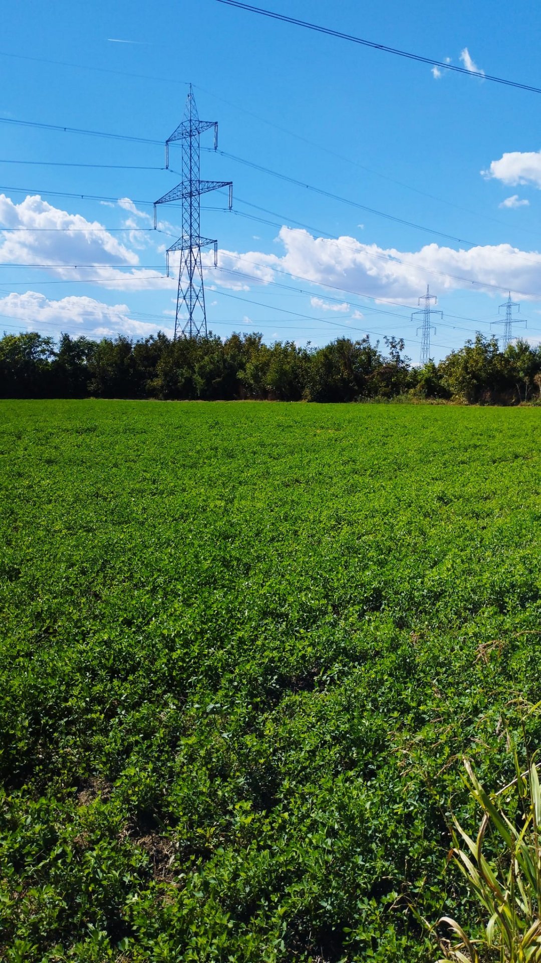 Terenuri intravilane 4550 MP, deschidere la stradă 30m