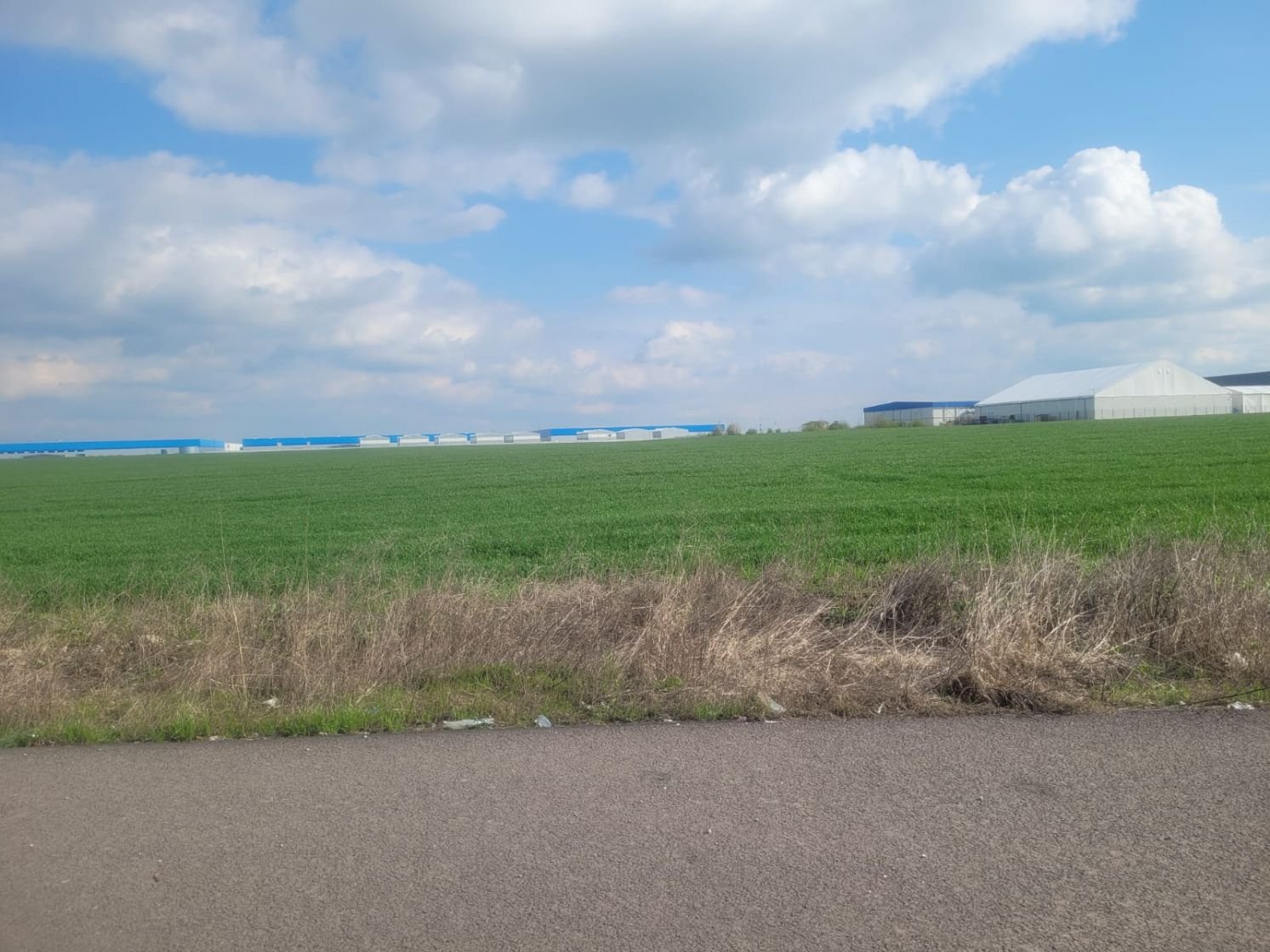 Teren 33.637 mp cu deschidere 88 m la Centura, zonă mixtă – Popești-Leordeni